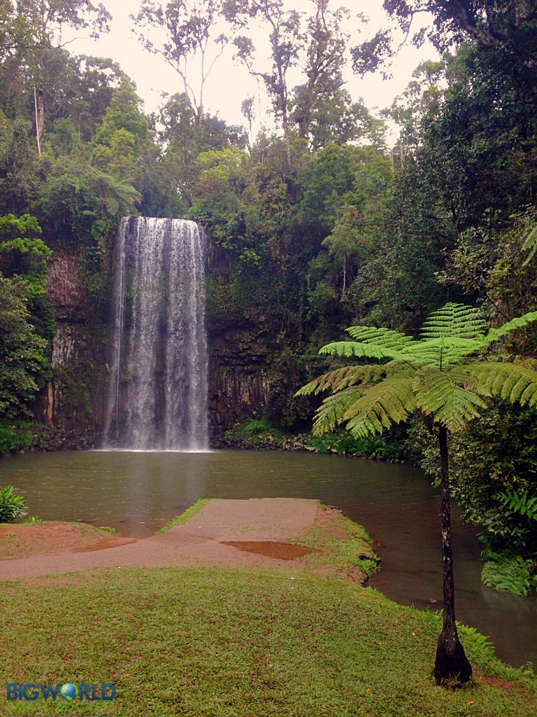 Millaa Millaa Falls - 3 Days in the Atherton Tablelands: The Perfect Self-Drive Itinerary - The Trusted Traveller