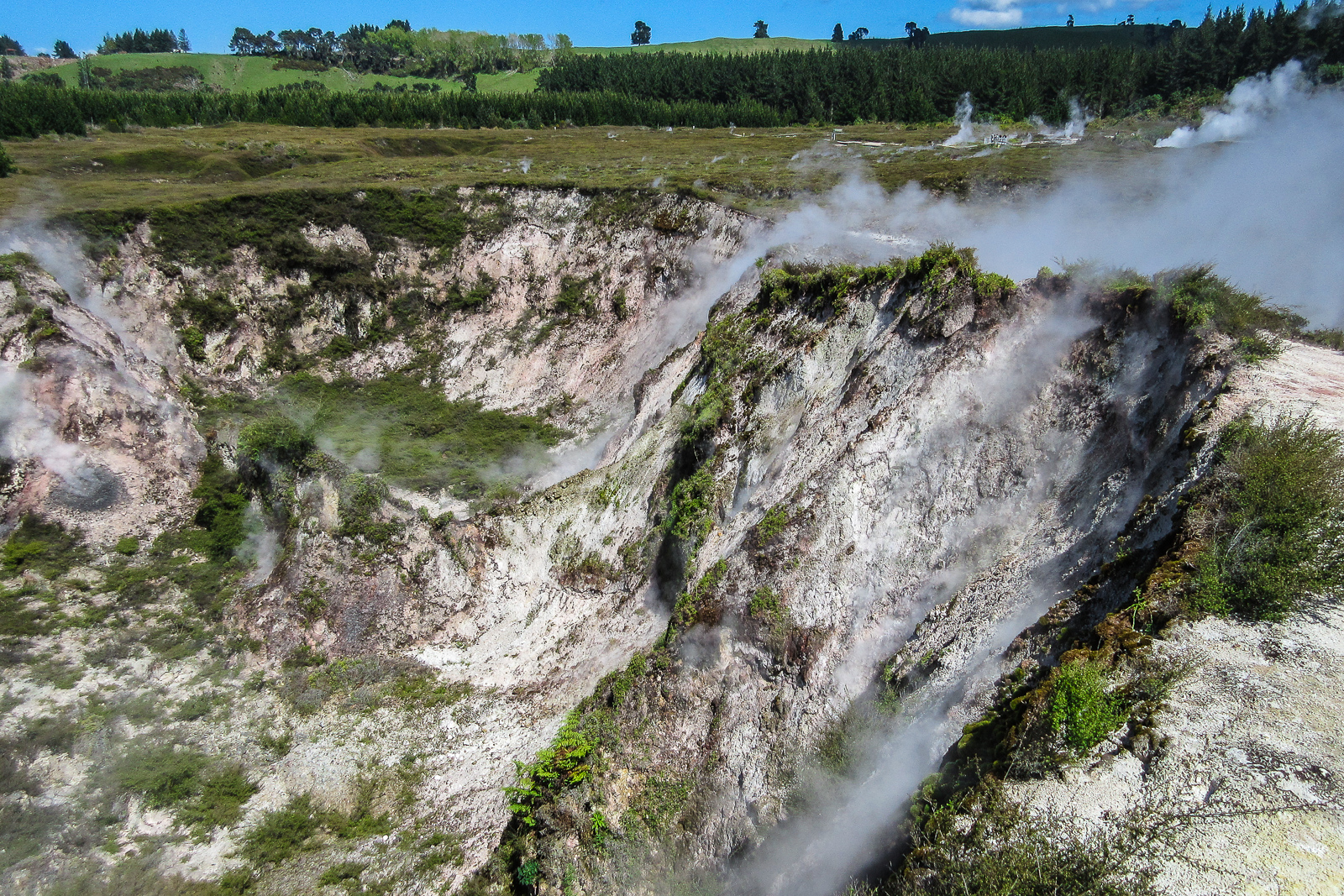 Rotorua Forests, places to visit in New Zealand