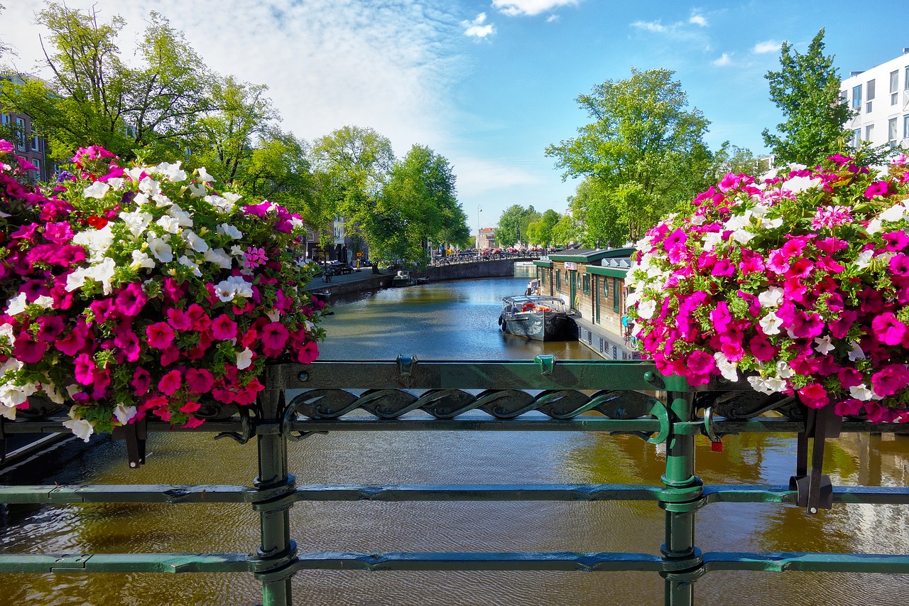 The Netherlands Travel Guide - The Trusted Traveller