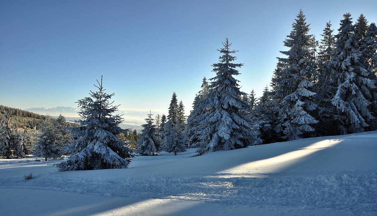 Does it snow in Poland? 2023/4 guide - Europe in Winter