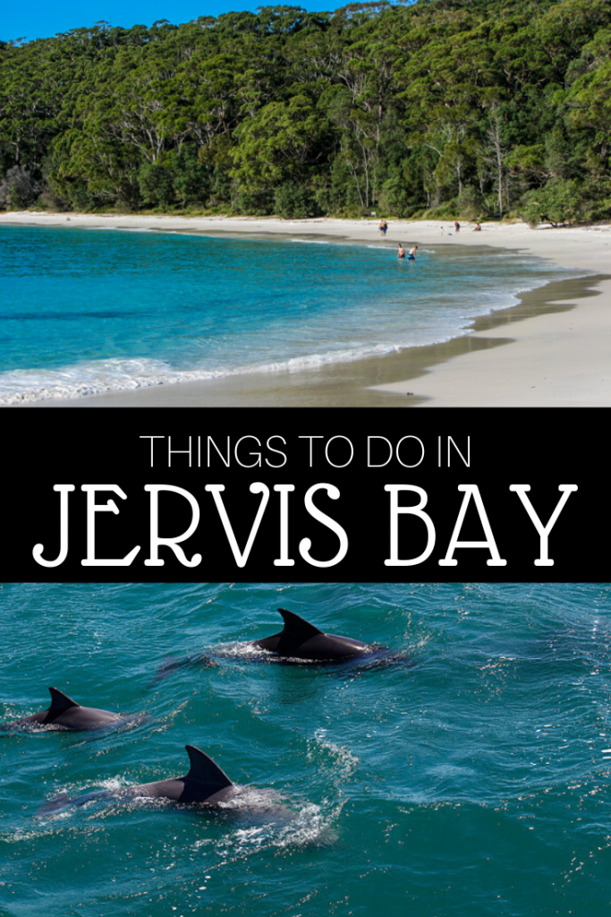 Food is amazing, sly fox burger is the only one i get because it's just so good. Things to Do in Jervis Bay in 2023 The Trusted Traveller