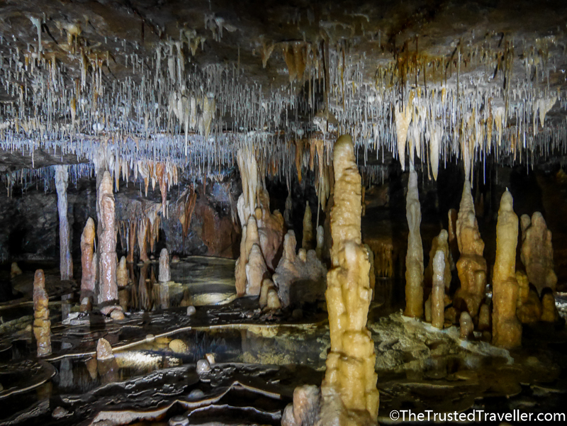 A Tour of the Buchan Caves in Gippsland Victoria - The Trusted Traveller