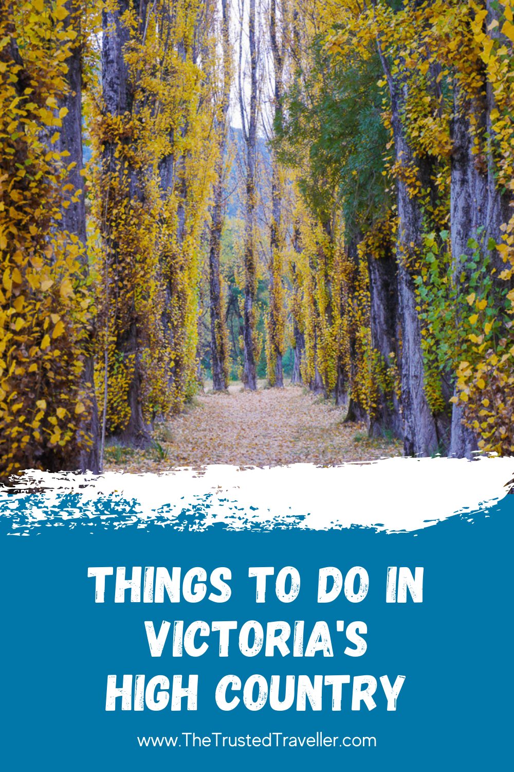 Things to Do in Victoria's High Country - The Trusted Traveller