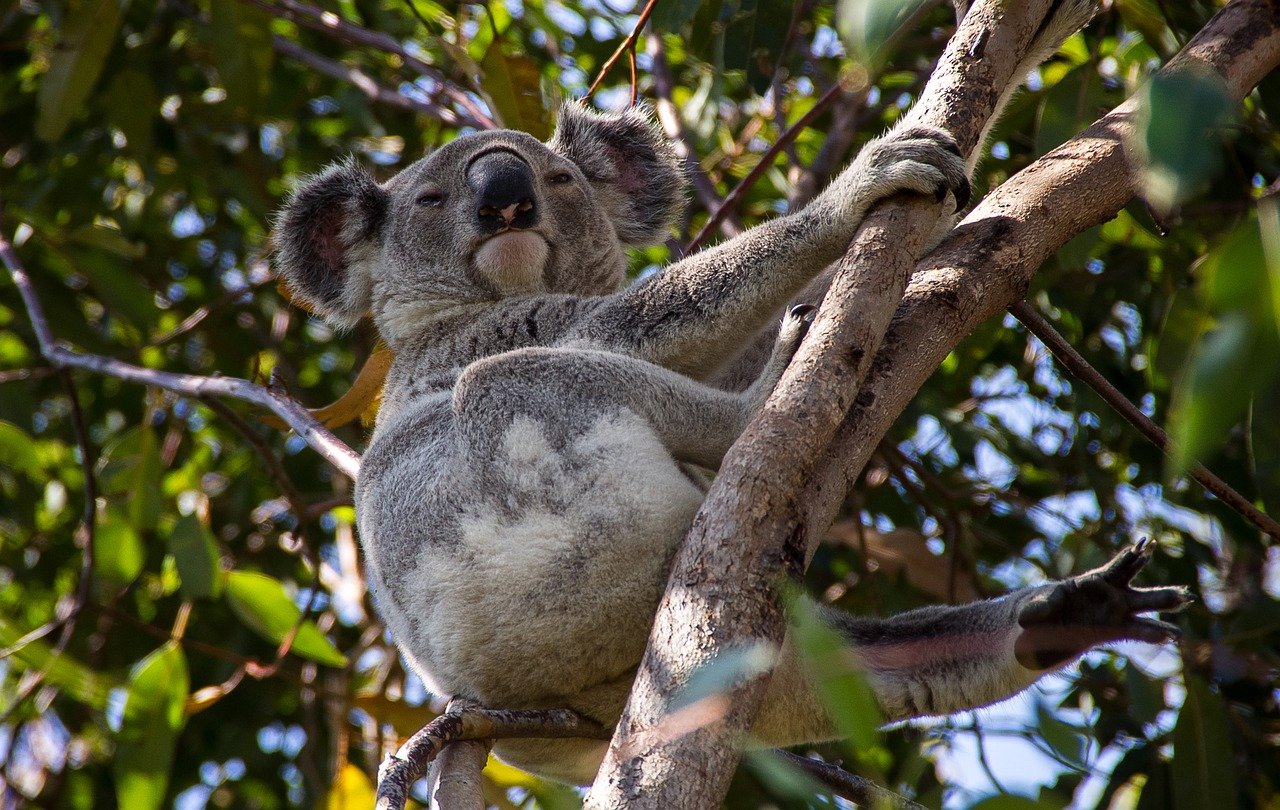 Things to See on the Great Ocean Road - The Trusted Traveller