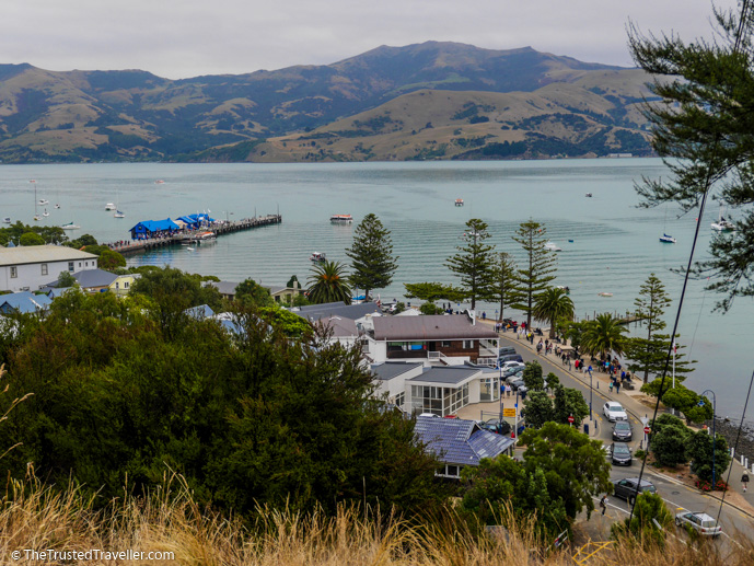The Best Day Trips from Christchurch - The Trusted Traveller