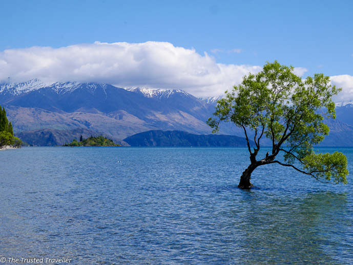 Christchurch to Queenstown Road Trip Itinerary - The Trusted Traveller