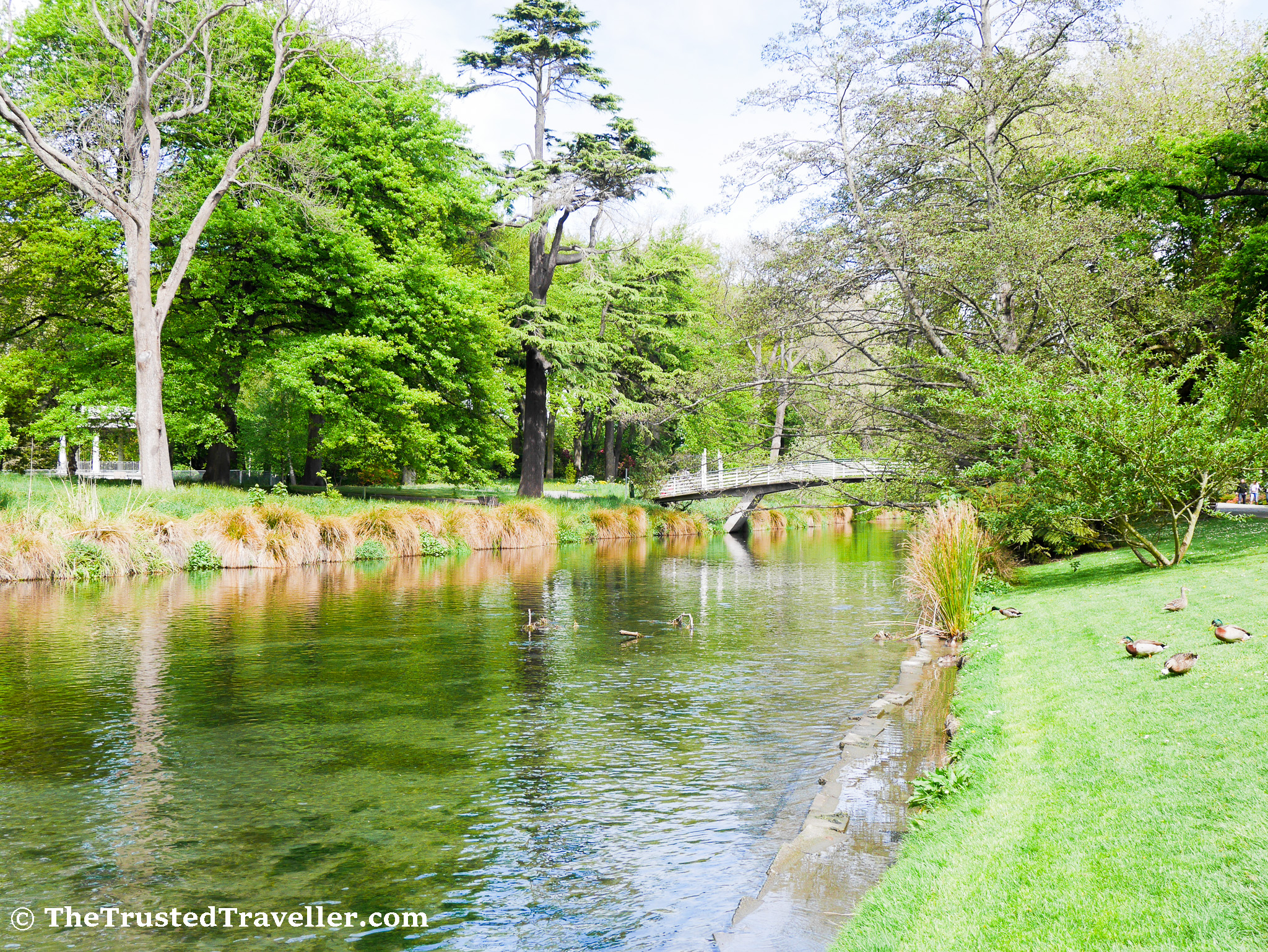 The Best Christchurch Sightseeing Tours - The Trusted Traveller