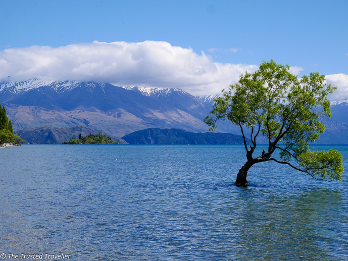 Best Things to Do in Wanaka - The Trusted Traveller