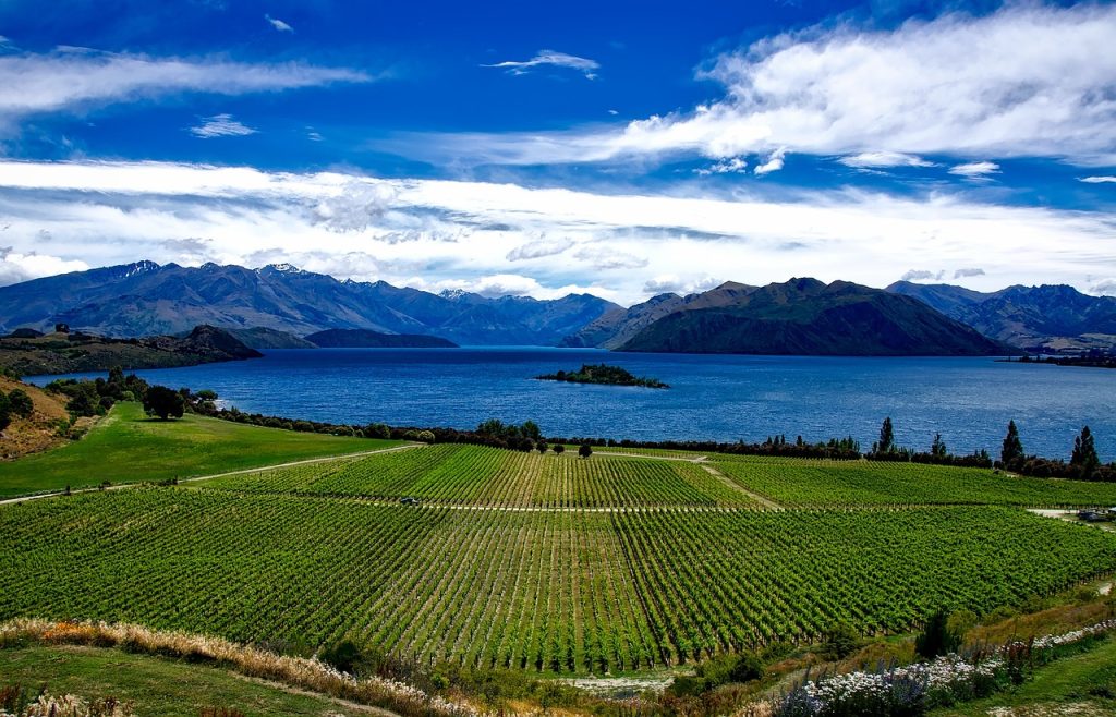 Best Things to Do in Wanaka - The Trusted Traveller