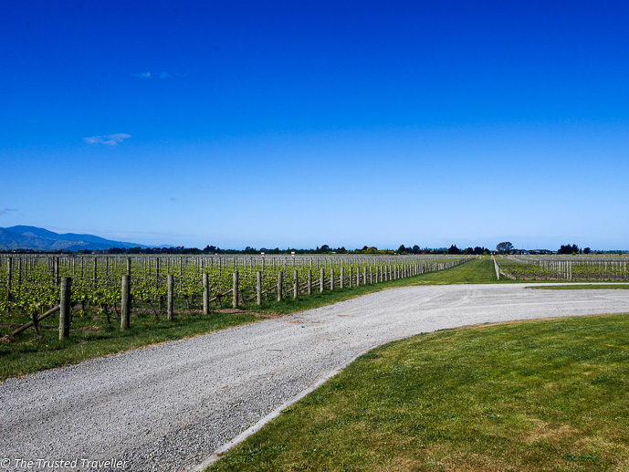 The Best Tours in Marlborough, New Zealand - The Trusted Traveller